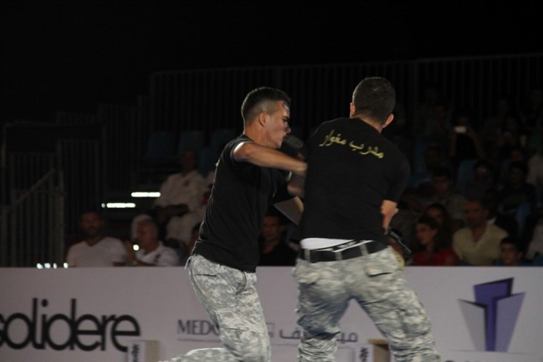 Martial Arts Festival